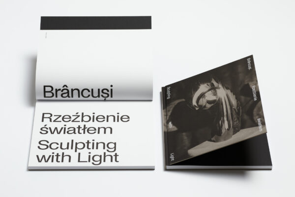 Brâncuși. Sculpting with Light / Brâncuși. Rzeźbienie światłem - Image 4